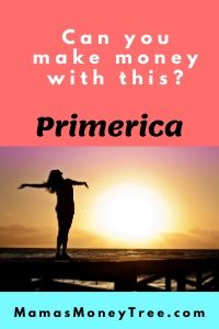 Primerica-Review