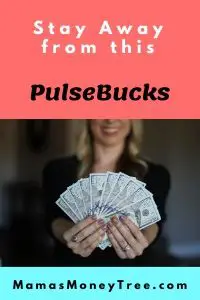 PulseBucks Review