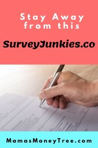 SurveyJunkies-Review