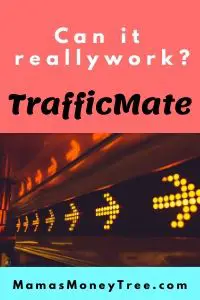 TrafficMate-Review