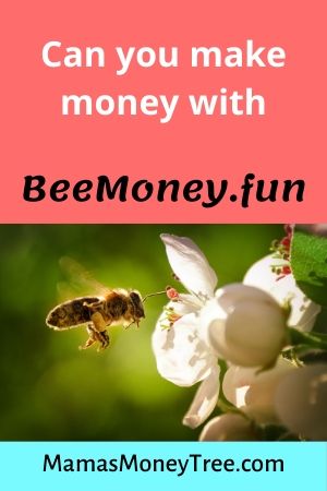 BeeMoney-Review