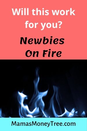 Newbies On Fire Review