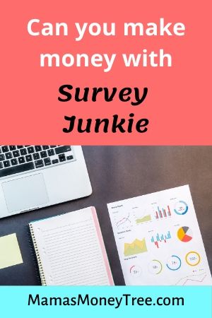 Survey Junkie Review