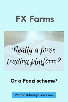 Fx Farms Review